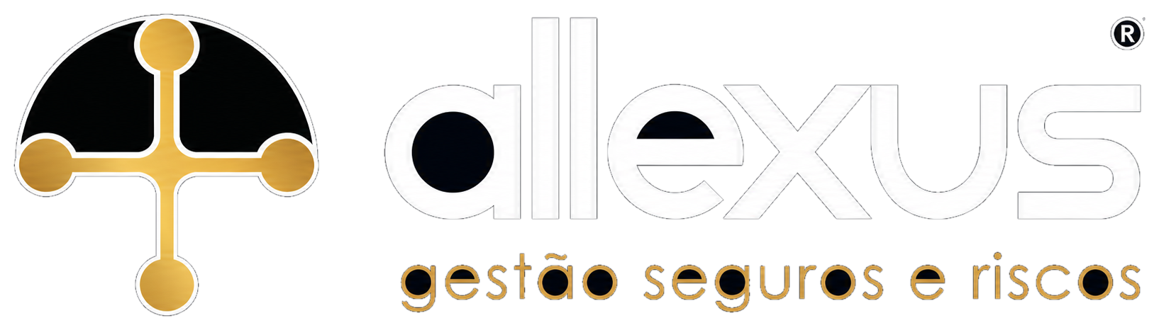 Allexus — Gestão, seguros e riscos