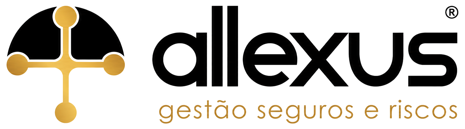 Allexus — Gestão, seguros e riscos